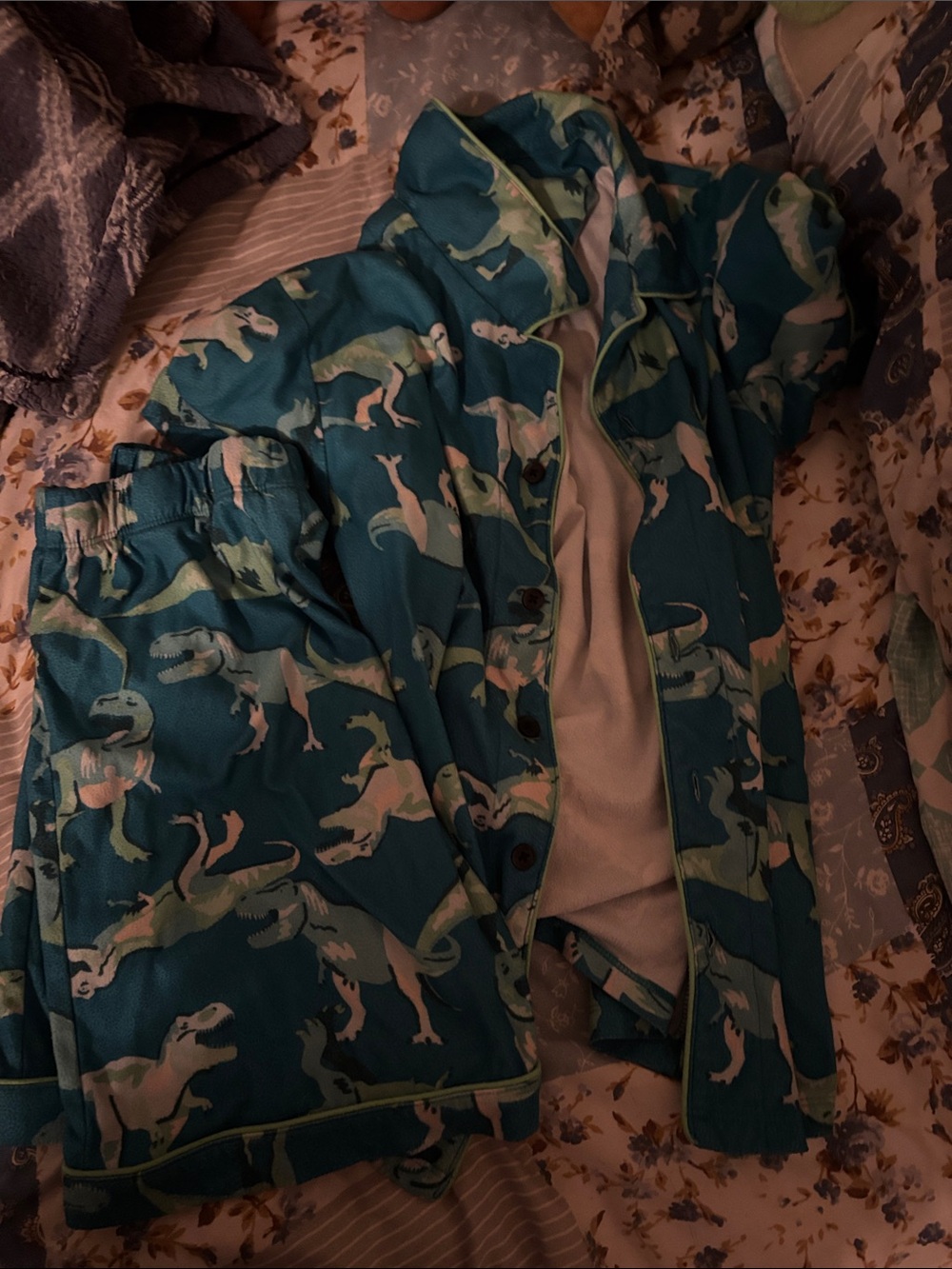 Cat & Jack Teal Dinosaur Pajama Set